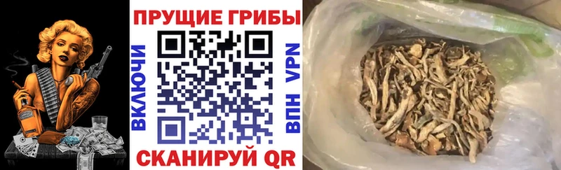 Псилоцибиновые грибы Magic Shrooms  купить наркоту  дарк нет телеграм  Рыльск 
